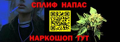 стаф Кизляр
